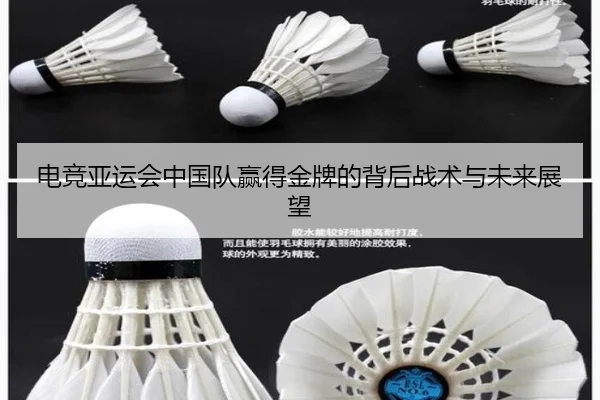 电竞亚运会中国队赢得金牌的背后战术与未来展望