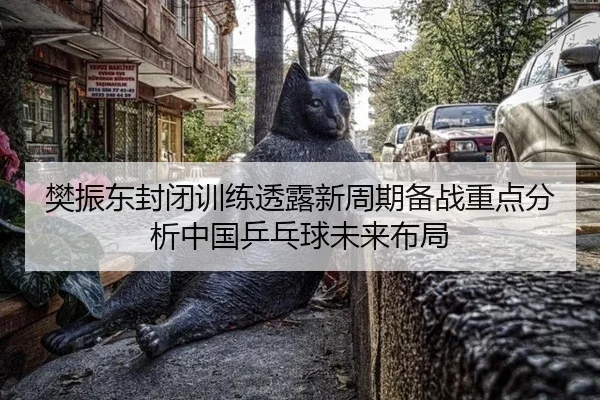 樊振东封闭训练透露新周期备战重点分析中国乒乓球未来布局